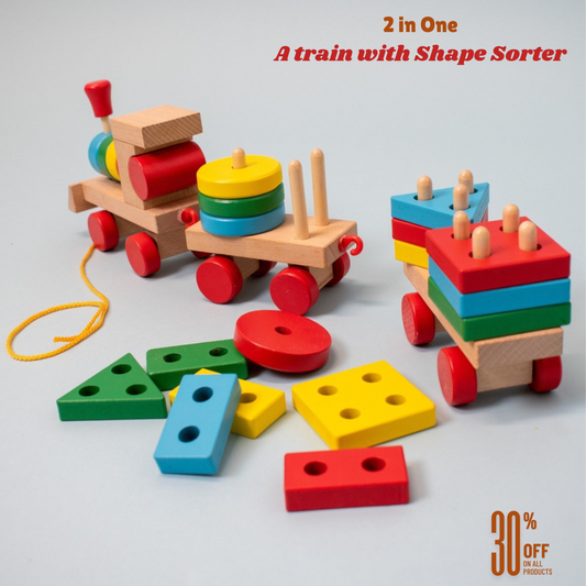 Handmade Train with Shapes Sorting