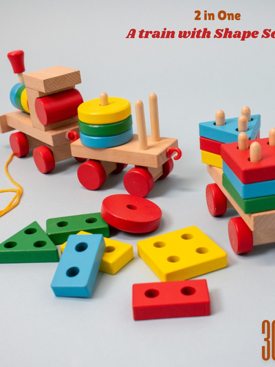 Handmade Train with Shapes Sorting